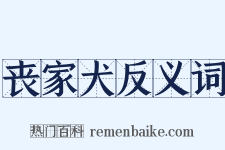 丧家犬反义词是什么意思的图片